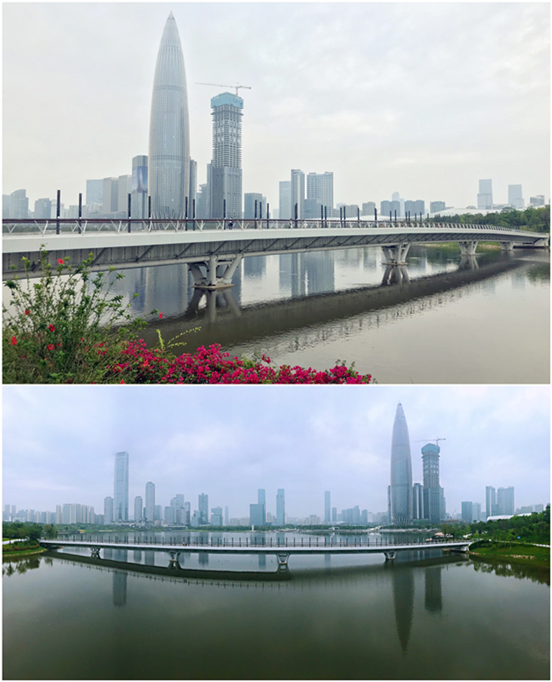 深圳市人才公園內海橋(圖1)